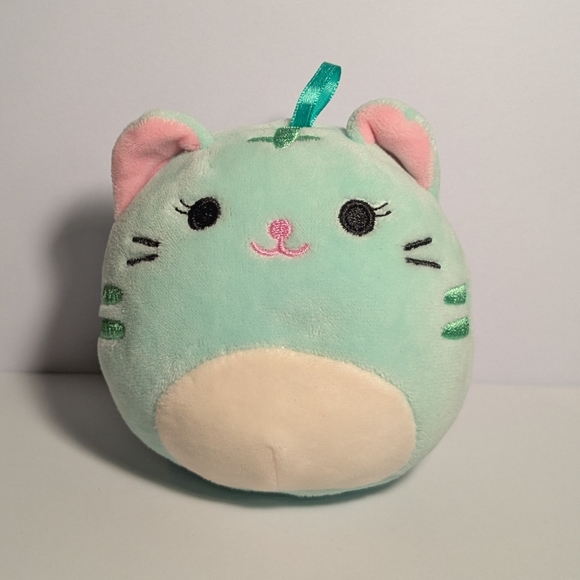 Squishmallows Other - Squishmallows Mint Green Cat Jules Plush 4 Inch